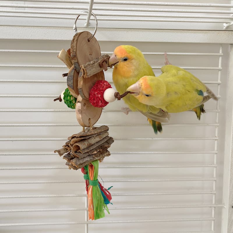 Apple Wood Hanging Chew Toy for Small Parrots
