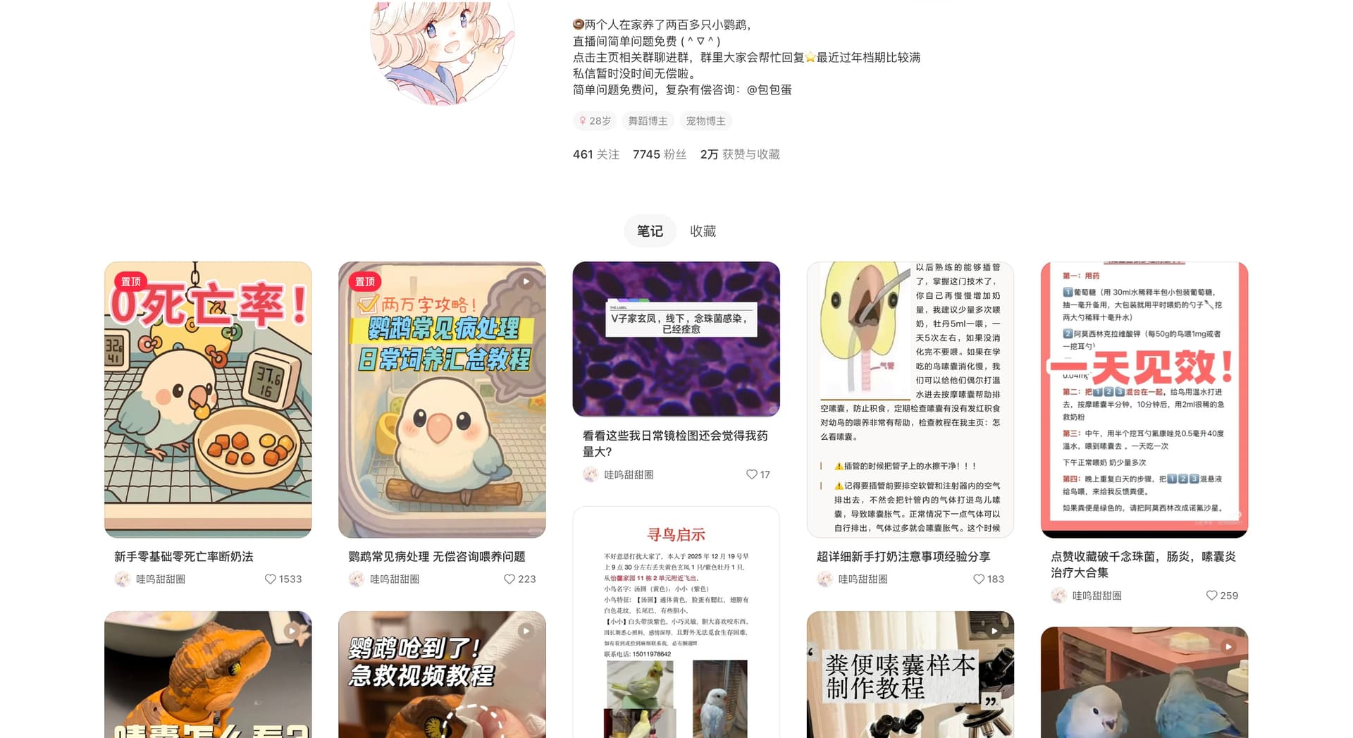 Luna Chen Xiaohongshu creator profile screenshot