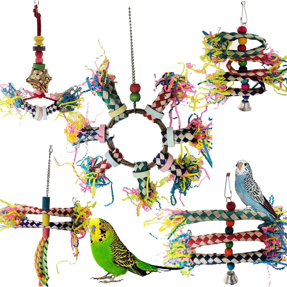 5-Piece Parrot Chew Toy Set