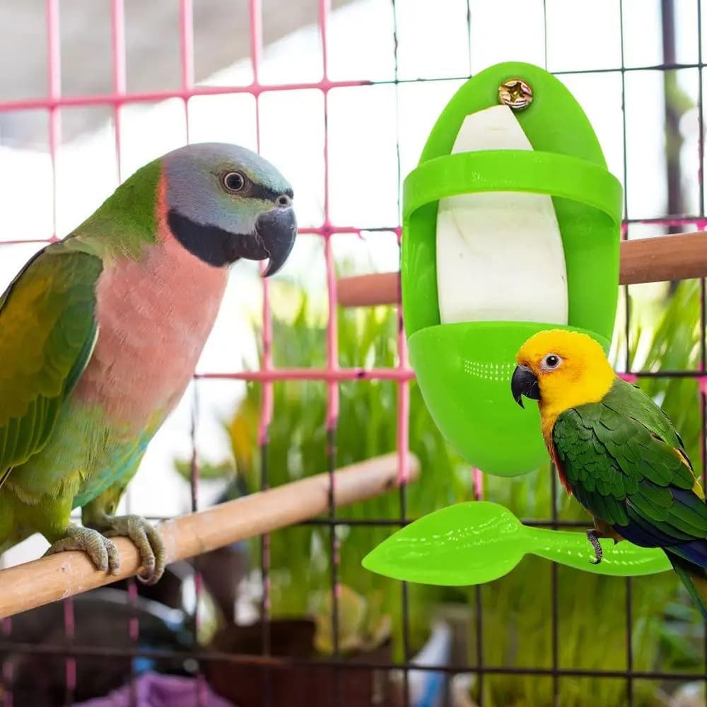 Cuttlebone and Food Holder for Parrot Cages