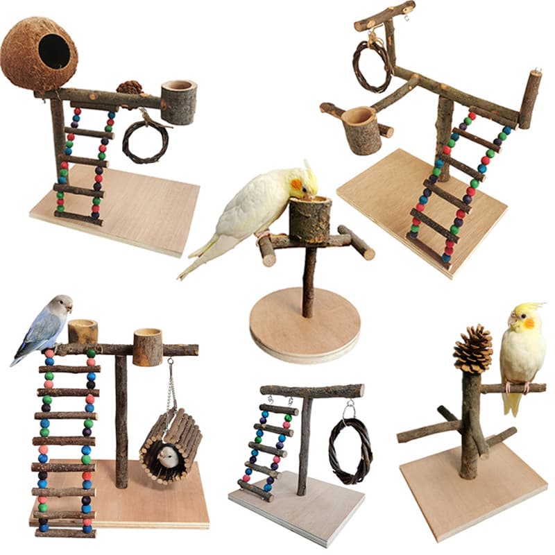 Wooden Training Stand for Medium and Large Parrots
