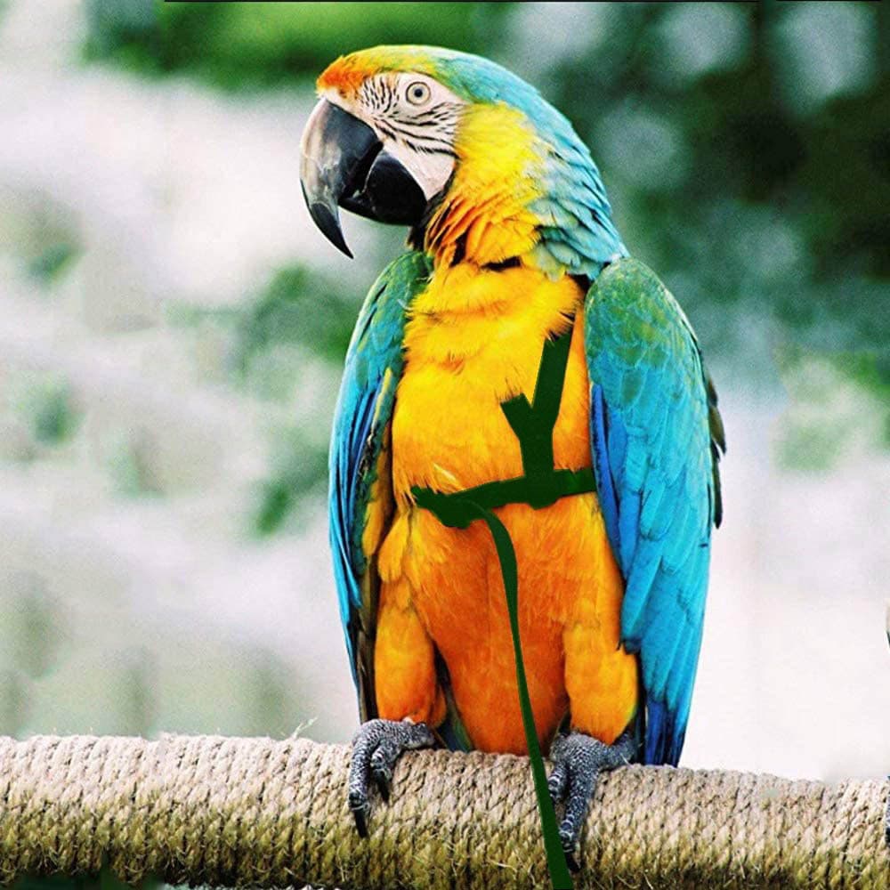 Adjustable Parrot Flight Harness and Leash