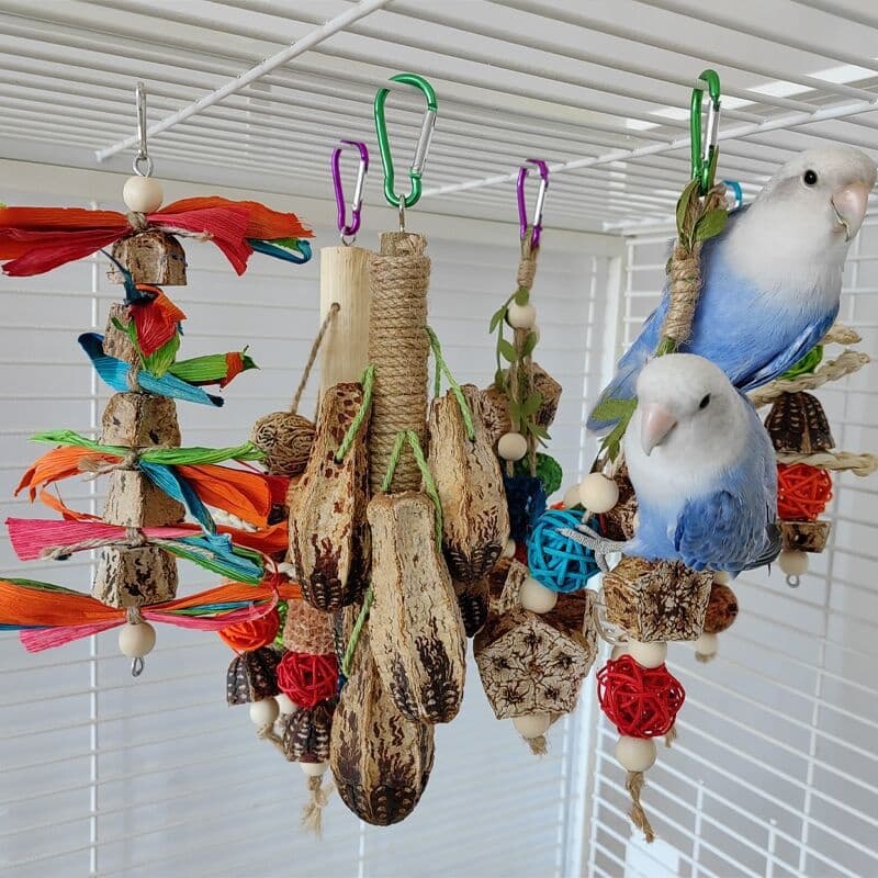 Natural Chew Toys for Small Parrots