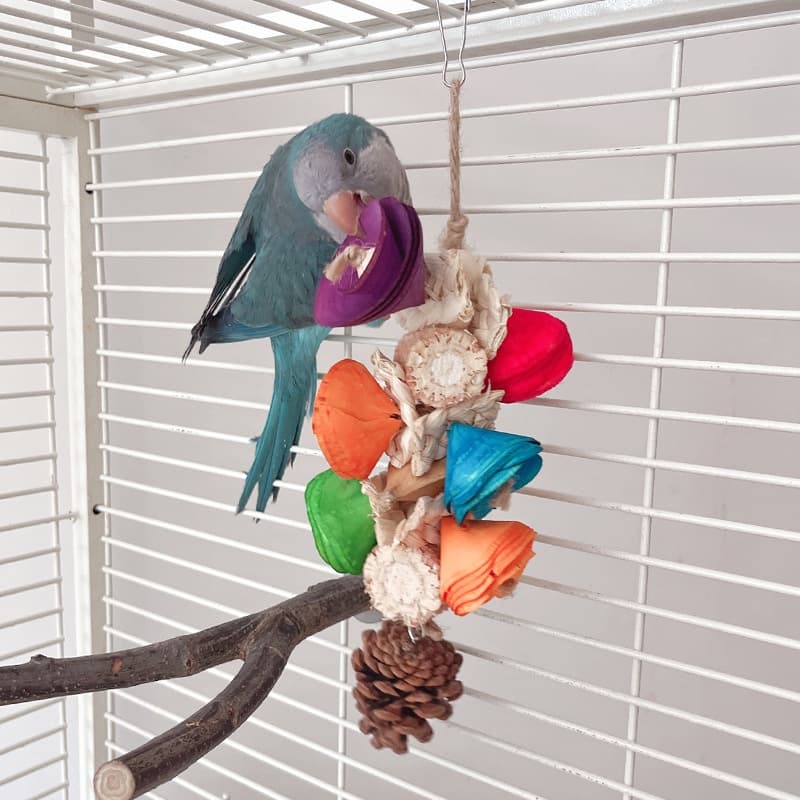 Natural Wood Hanging Chew Toy for Parrots