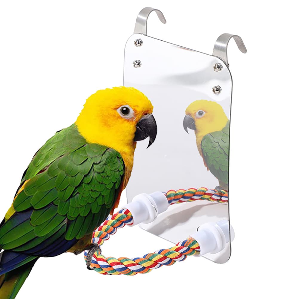 Acrylic Hanging Parrot Toy with Cotton Rope