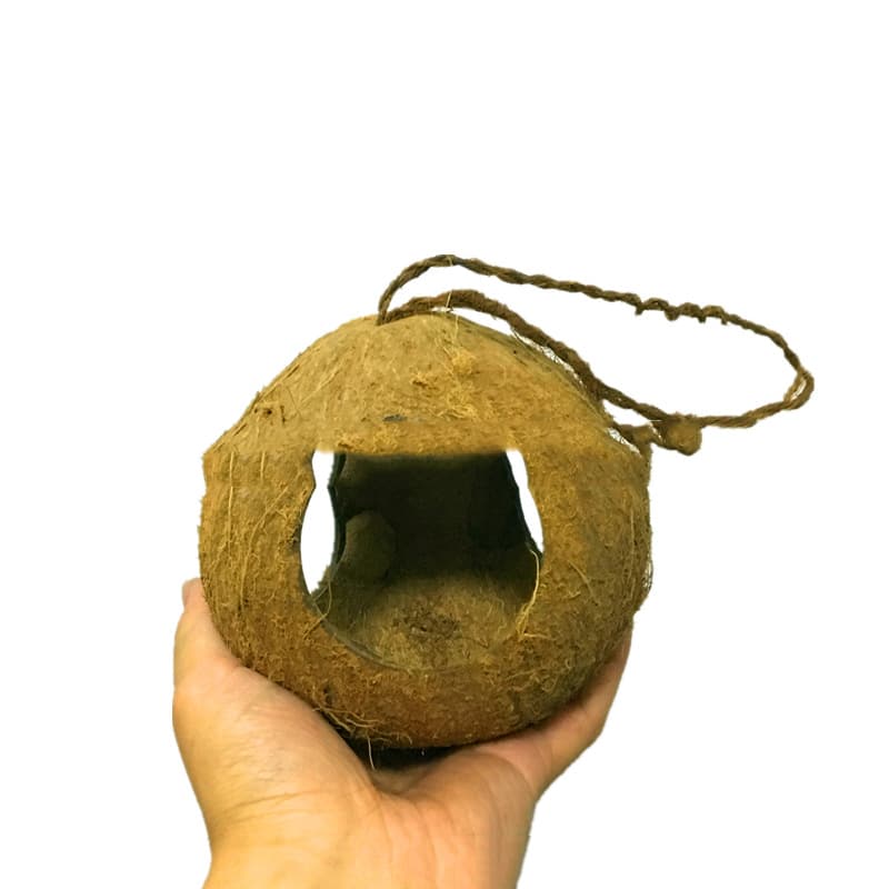Coconut Shell Parrot Foraging Feeder