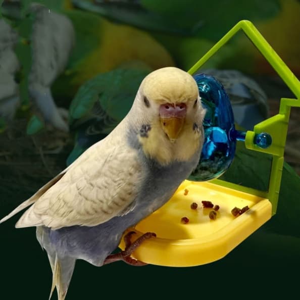 Hanging Food-Dispensing Foraging Toy for Small Parrots