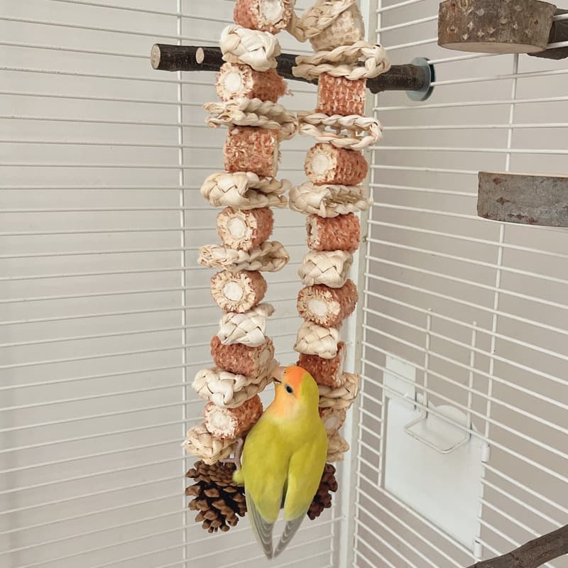 Medium and Large Parrot Wooden Chew Toy
